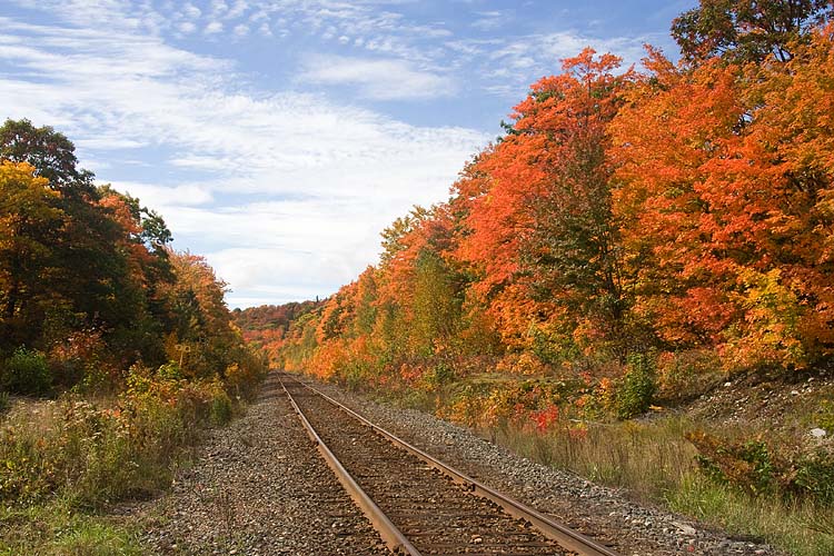 Algoma Rail Line