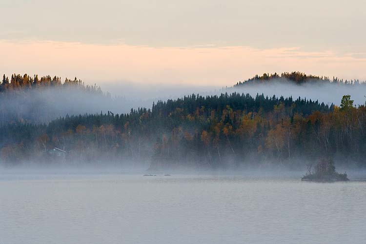 Misty Morning