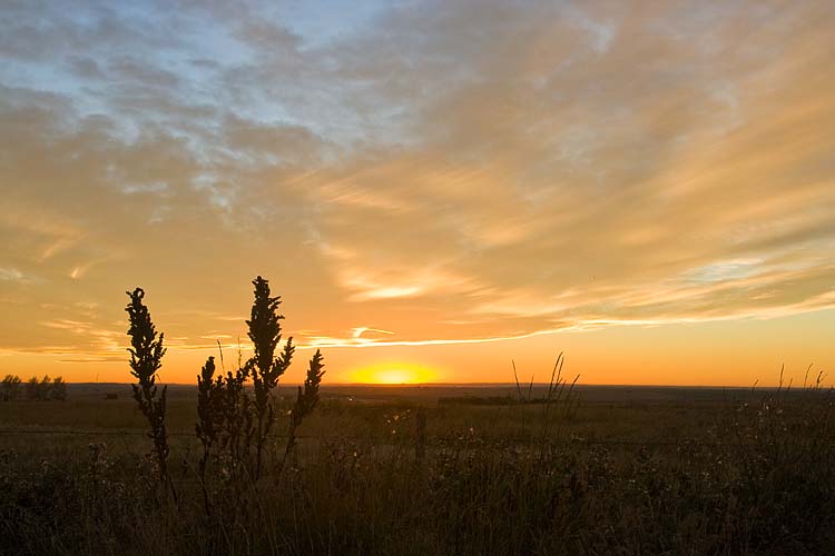 Sunset Over Alberta