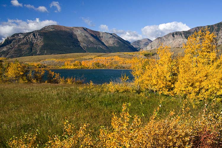 Approaching Waterton Lakes National Park