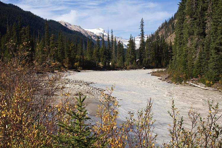 The Yoho River