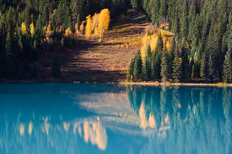 Golden Clearing