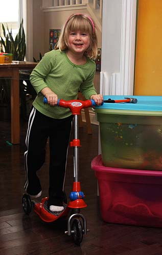 The New Scooter