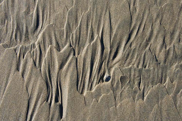  Ripples in the Sand