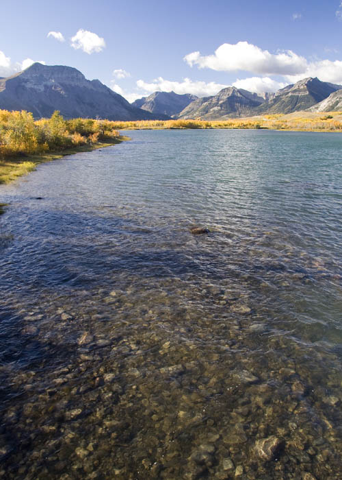 Crystal Clear River