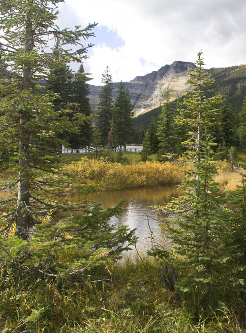 Near Cameron Lake