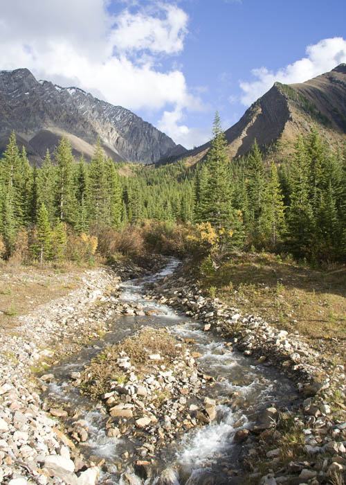 Mountain Stream