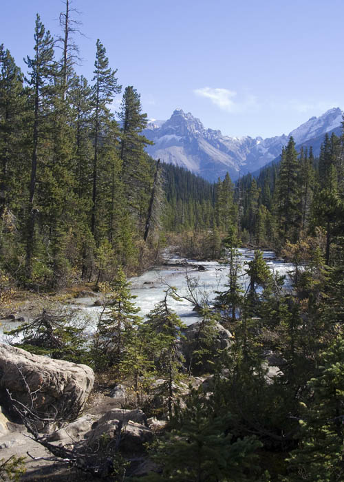 The Yoho River