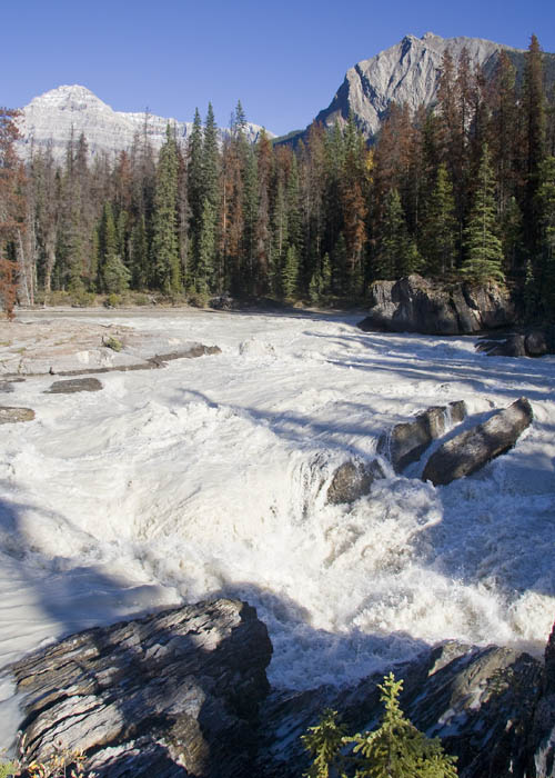 Kicking Horse River
