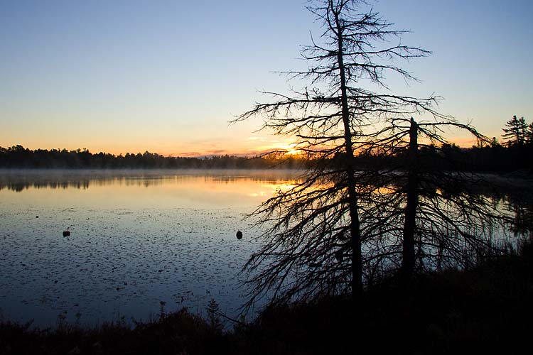 Dawn, Grundy Lake