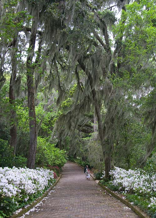 Garden Path