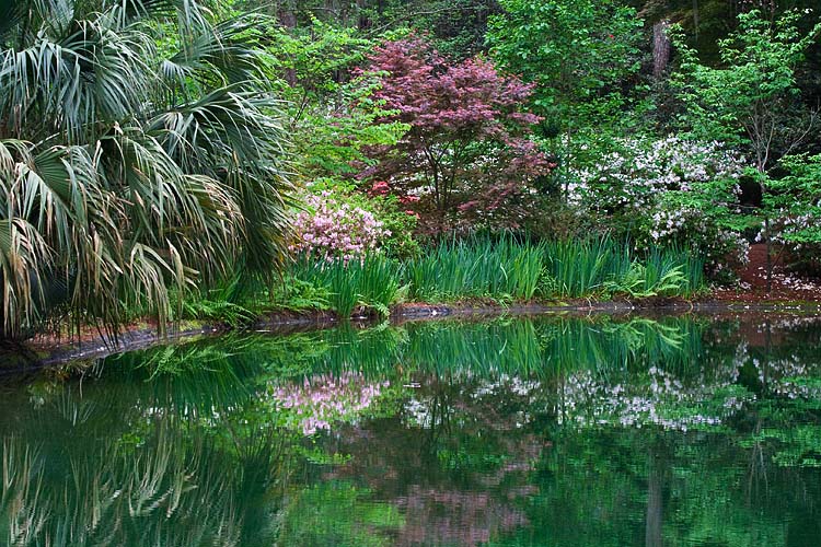 Garden Pool