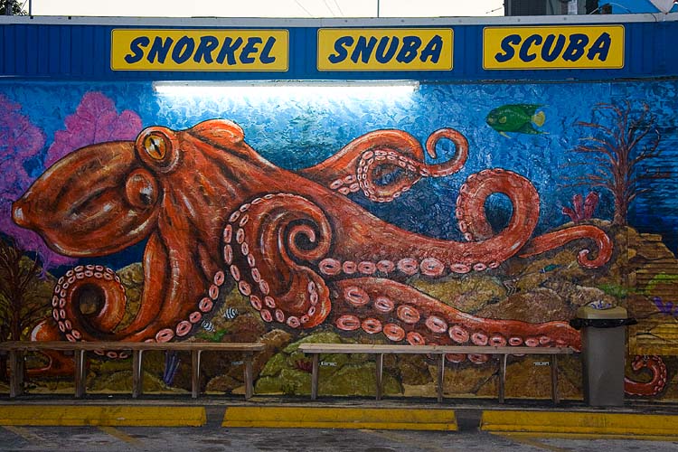 Snorkel Shop Mural