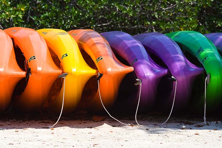 Colourful Canoes