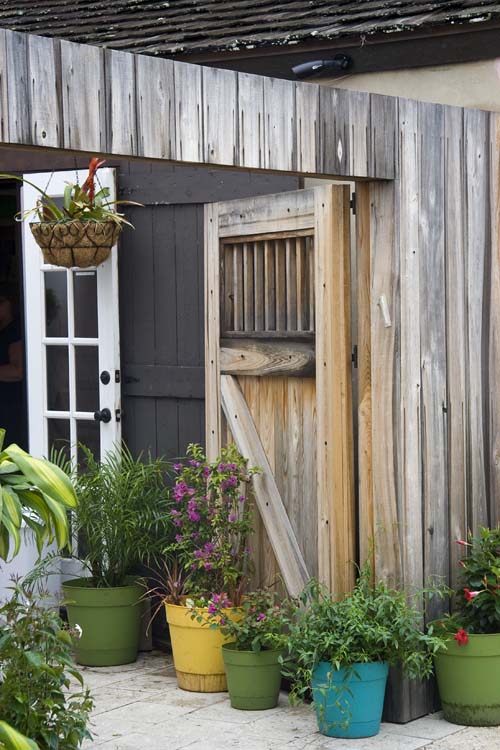 Door with Potted Plants
