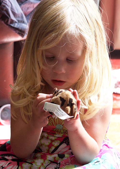 "I Love My Hamster"