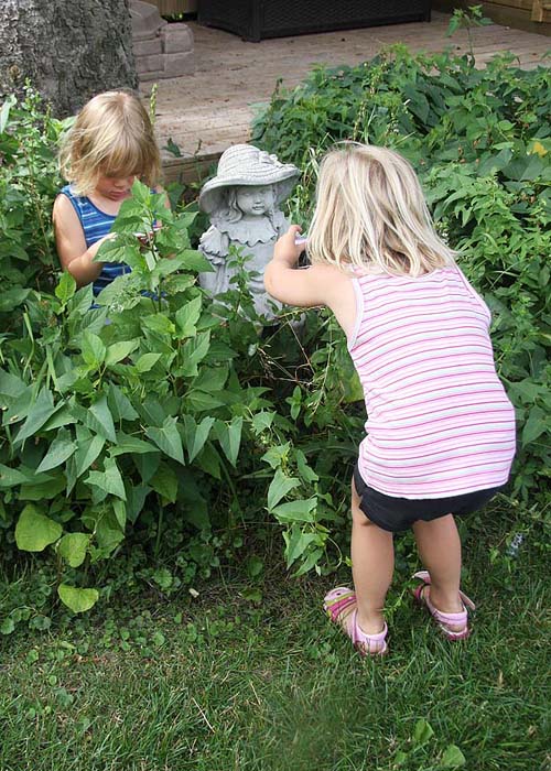 Shooting the Garden Girl