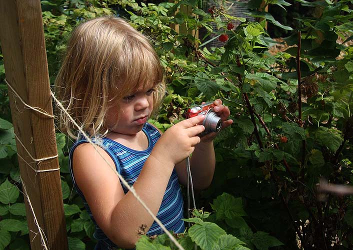 Shooting a Raspberry