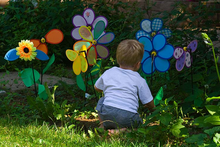 Twirly Flowers
