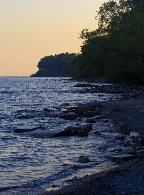 Evening Shoreline