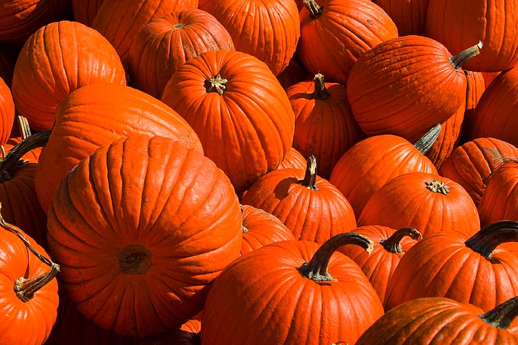 Pumpkins