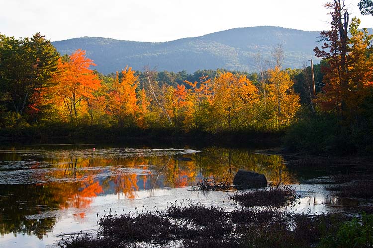 Autumn Reflection