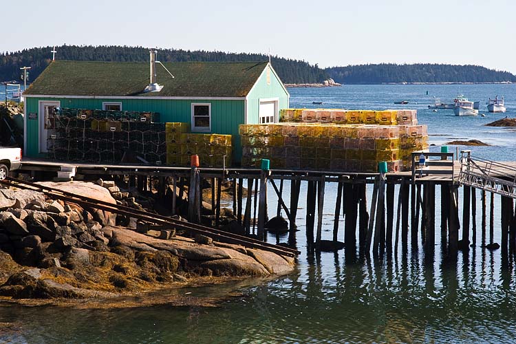 Lobster Traps