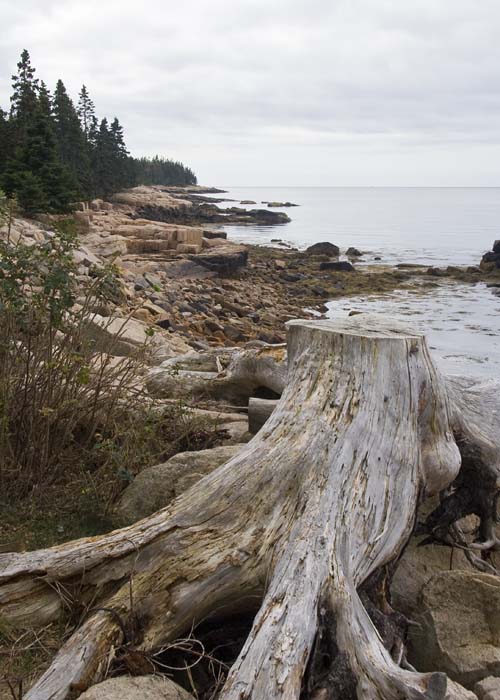 Rugged Shoreline