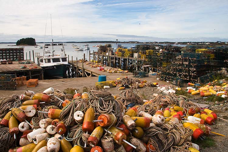 Piles of Traps & Floats