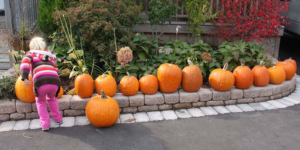 All in a Row