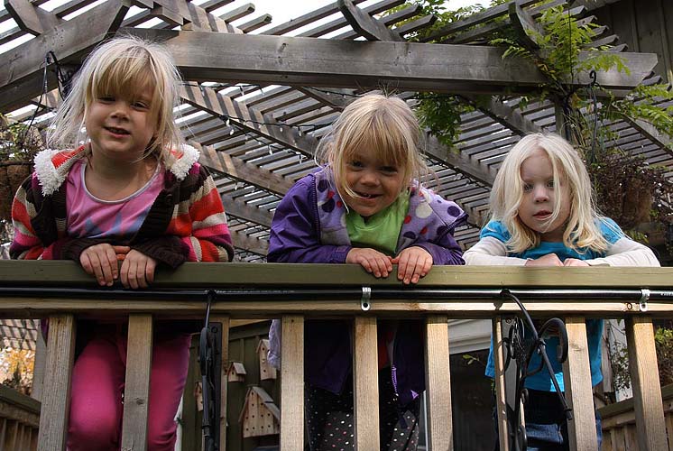 Three Girls in the Treehouse