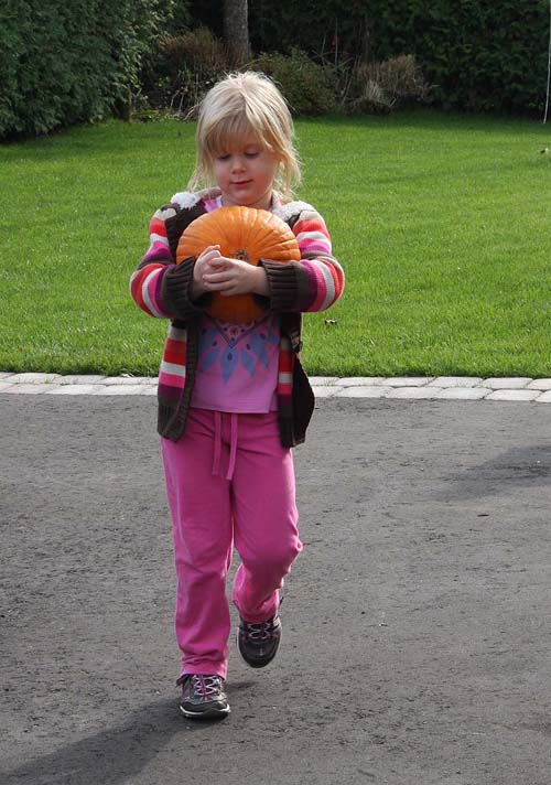 Rachel's Pumpkin