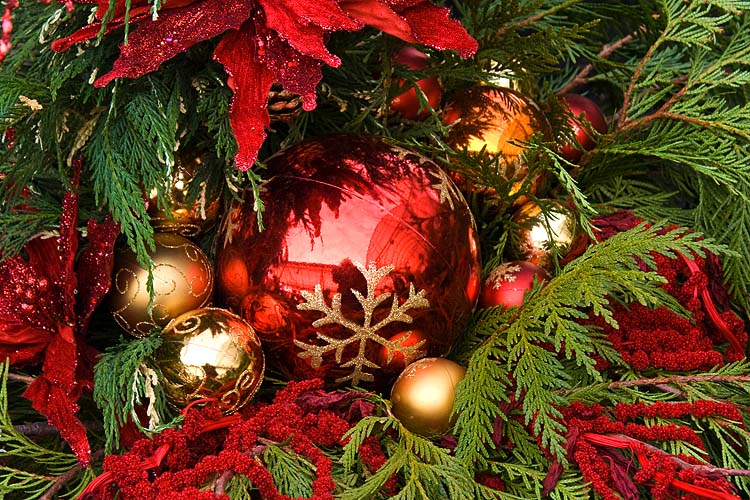 Red, Gold & Green
