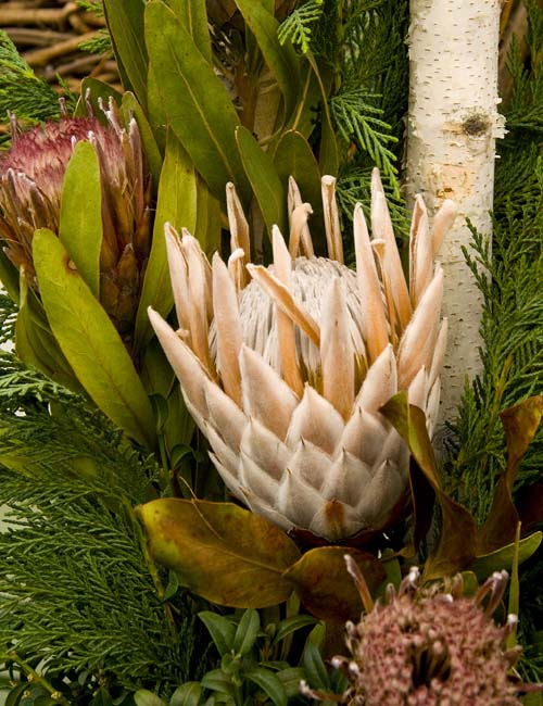 Dried Arrangement