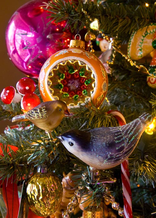 Glass Birds