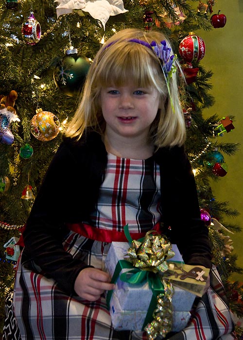 Christmas Portrait