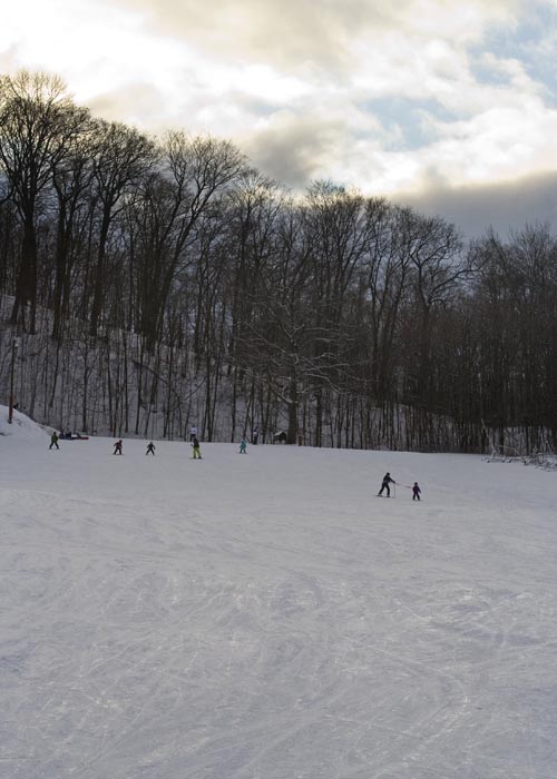 the Bunny Hill