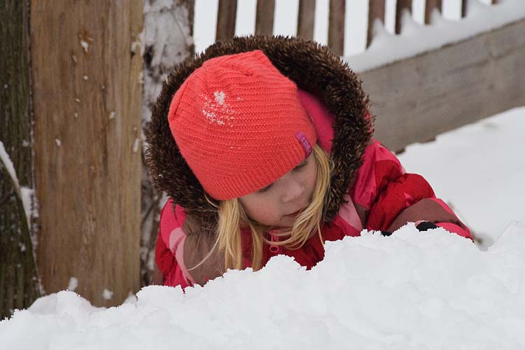 Playing in the Snow