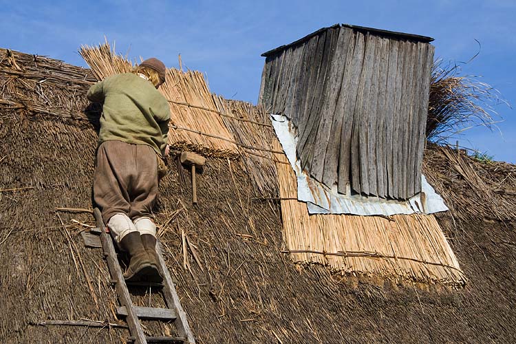 Thatching