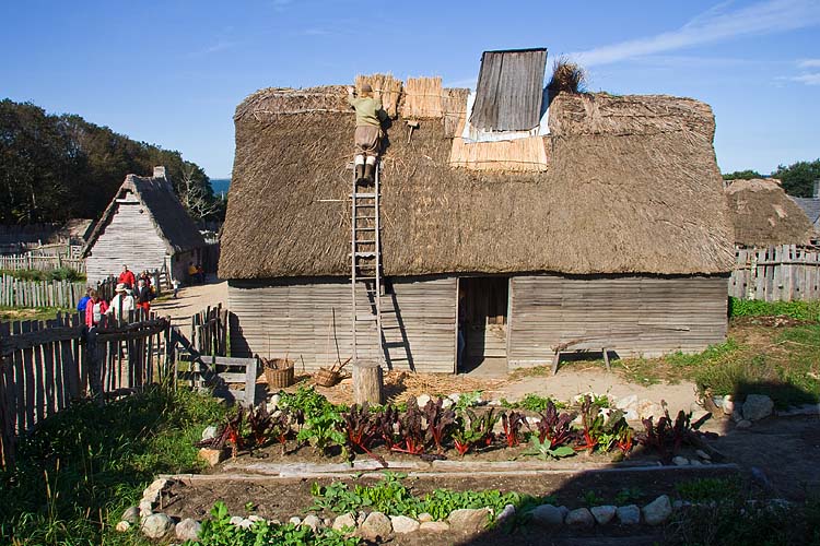 Vegetable Garden