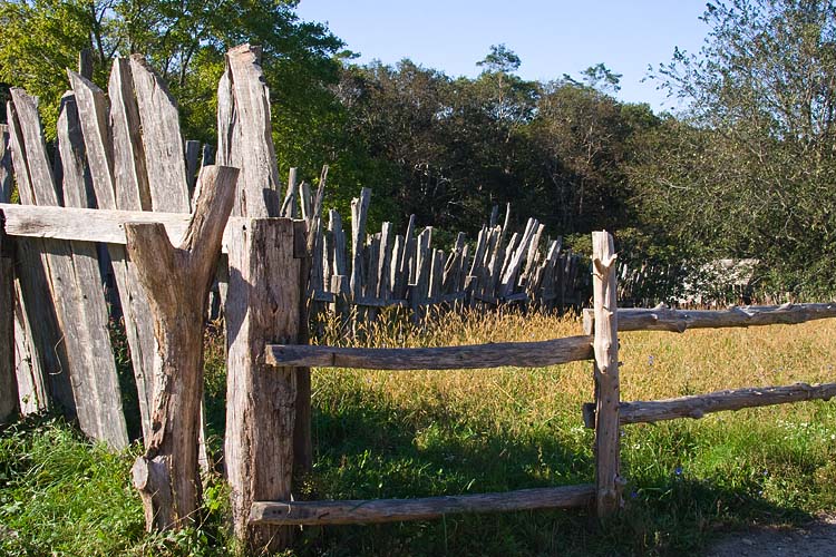 Rustic Fences