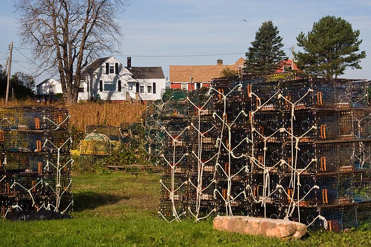 Piles of Lobster Traps