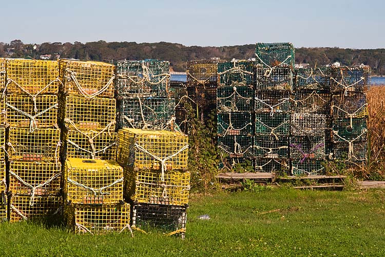 More Lobster Traps