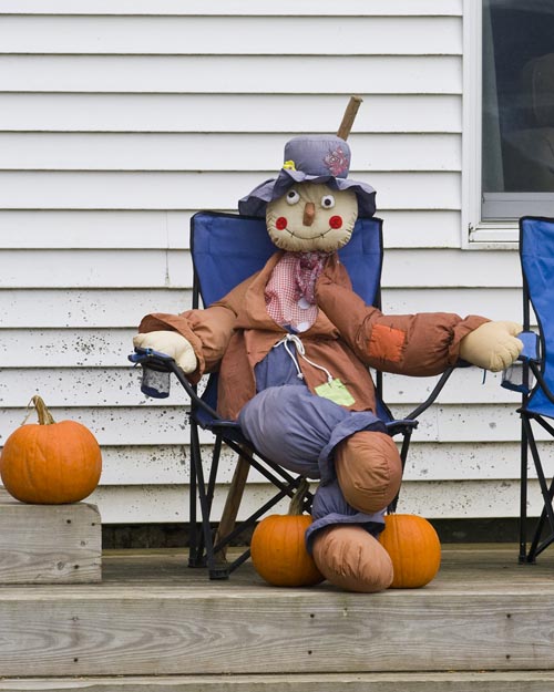 Scarecrow & Pumpkins