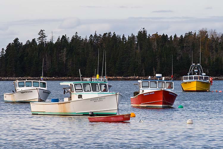 Fishing Boats  