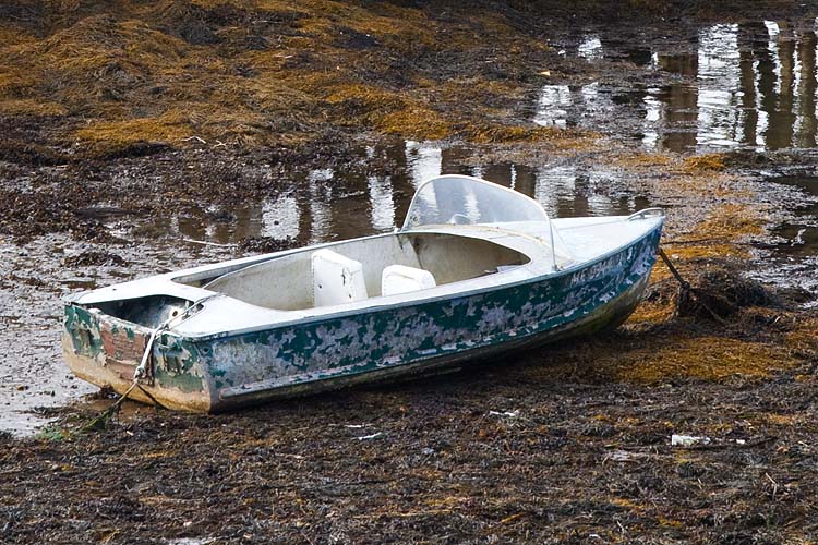 Boat in the Mud