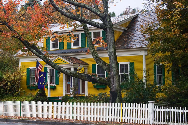Yellow Cottage with Green Shutters