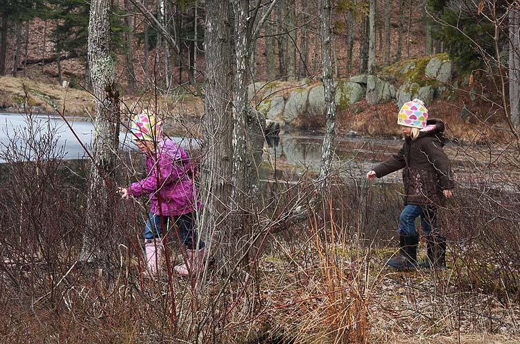 Romping Through the Woods