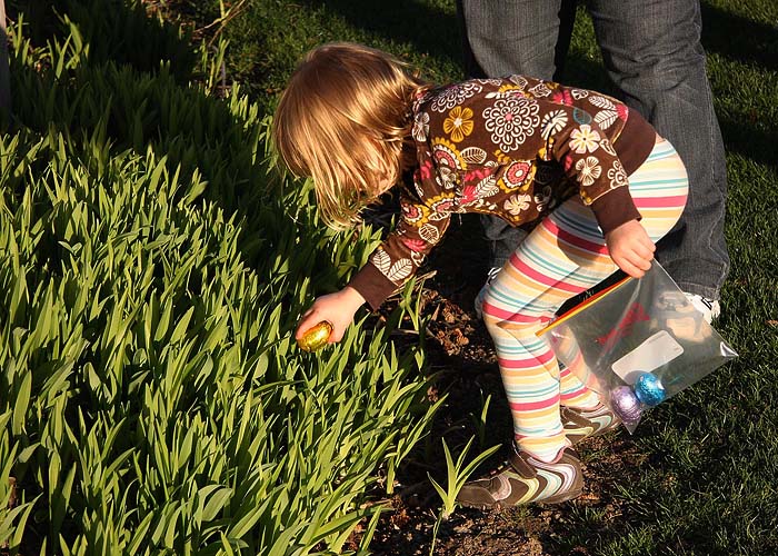 Hunting for Easter Eggs