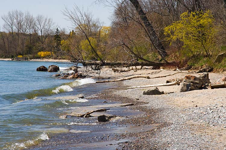 Spring at the Beach